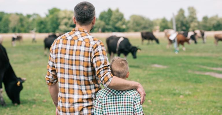 father and son looking at farm animals